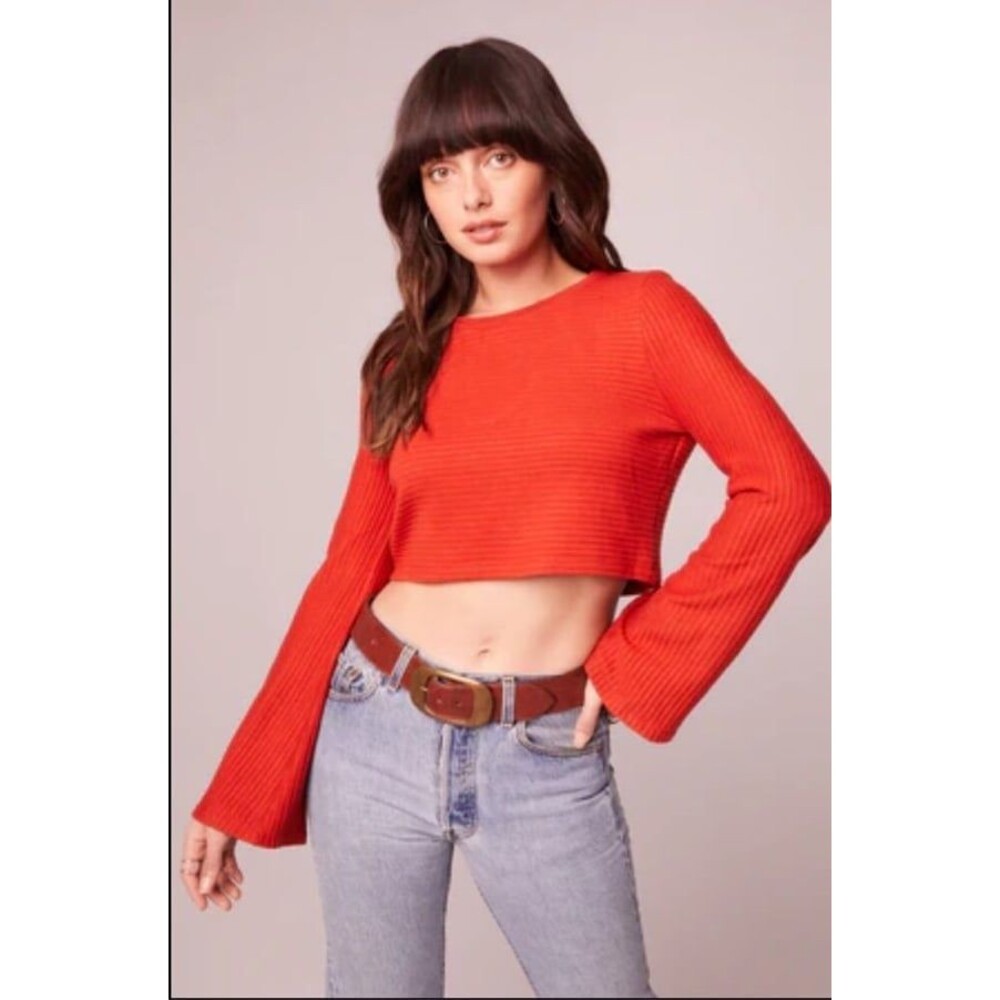 NWT Medium long bell sleeve ribbed crop top